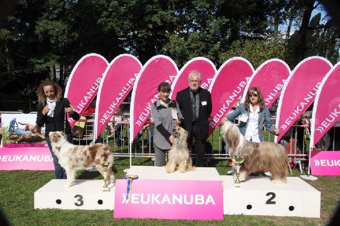 du Champ D'Onix - HELLO : Meilleur chien du 1er Groupe à Dompierre sur Besbre (03)