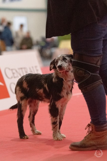 Adour du Champ D'Onix