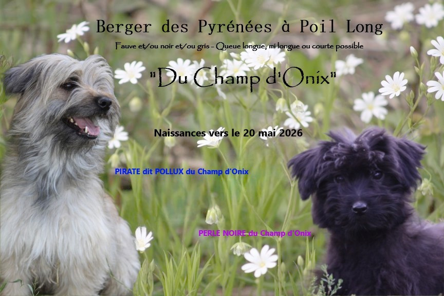 encore des bébés 2026