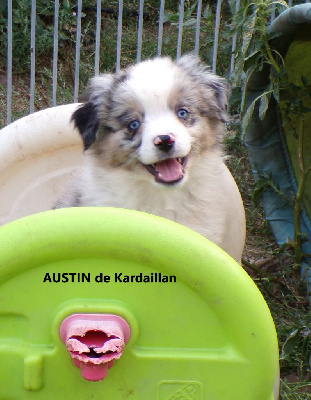 AUSTIN